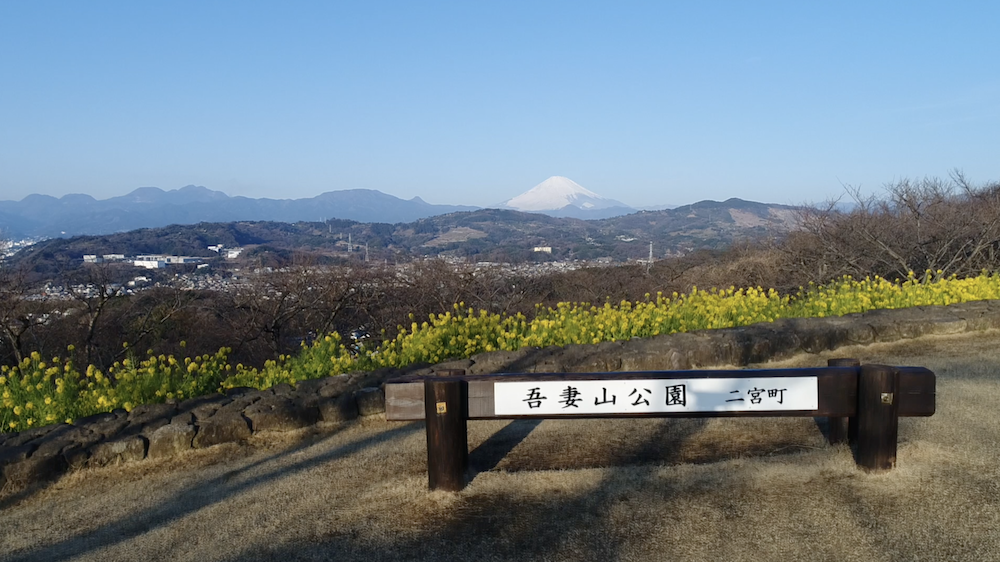 二宮町吾妻山からのイメージ1